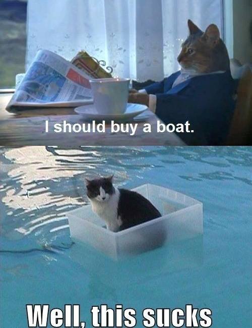 10882211_841320275907247_2554166926580311013_n