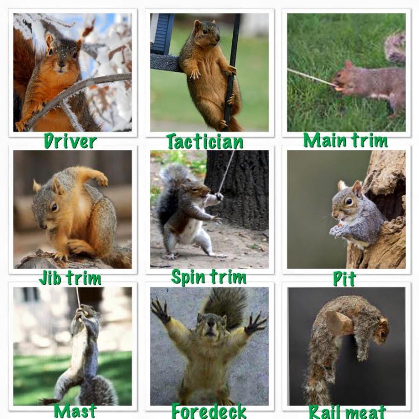 11012474_897372410360208_8148601725056256213_n