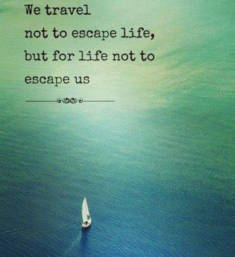 12360416_709503359185073_7199052742086143740_n